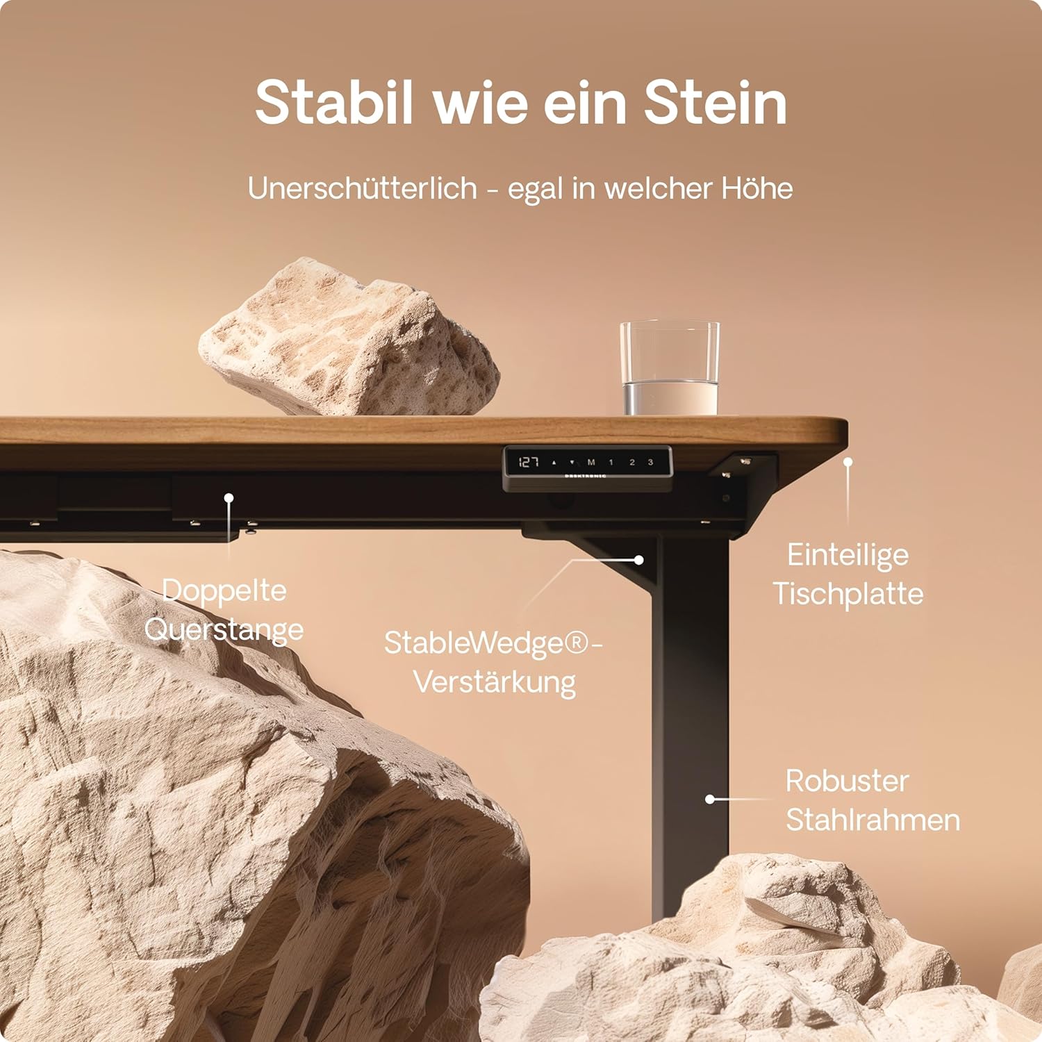 Desktronic HomePro Höhenverstellbarer Schreibtisch 160 × 80 cm – Elektrischer Schreibtisch Mit Zwei Elektrischen Motoren, Touchscreen-Steuerung und Integrierten USB-A- und USB-C-Ladeanschlüssen